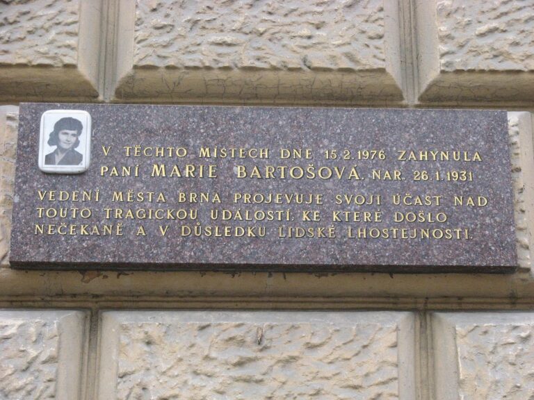 Propadla se před 49 lety a dosud ji nenašli: Příběh ženy z Brna, ze kterého mrazí