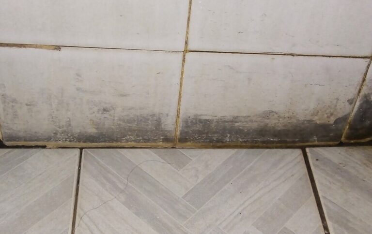 Jak se zbavit černé plísně ze spár: Jedlá soda, kyselina citronová i jak tomu předcházet