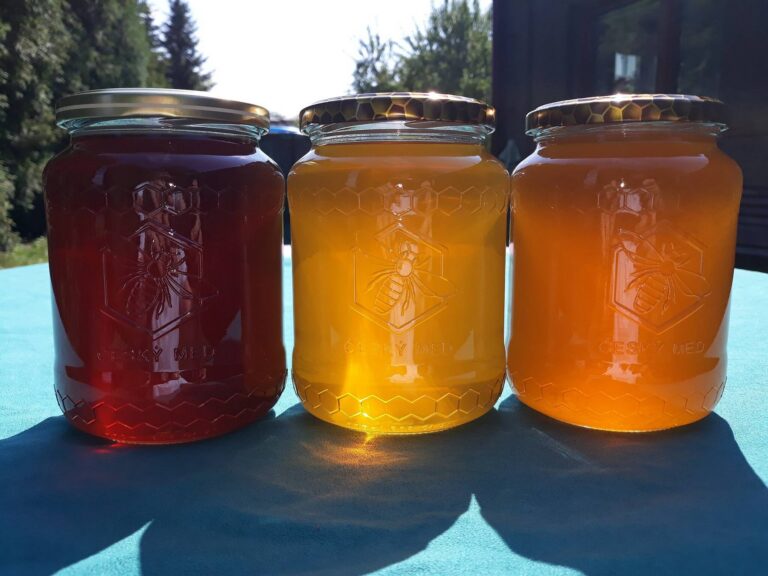 Jak poznat kvalitní med a vyhnout se pančovanému paskvilu