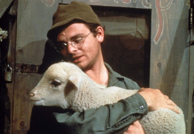 Gary Burghoff alias Radar slaví 82: Diváci si jej oblíbili, kolegové jej rádi neměli. Herec se dávno stáhl z veřejnosti