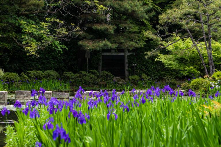 Zahradní trendy pro rok 2025: Kosatce, mikroles i zelené střechy aneb Co aktuálně frčí v moderním zahradničení