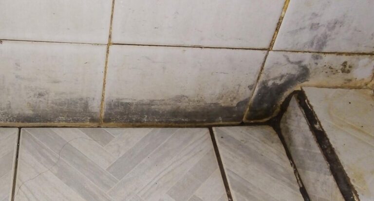 Konec plísním v koupelně: Vyzkoušejte tento geniální a levný trik našich babiček, funguje okamžitě