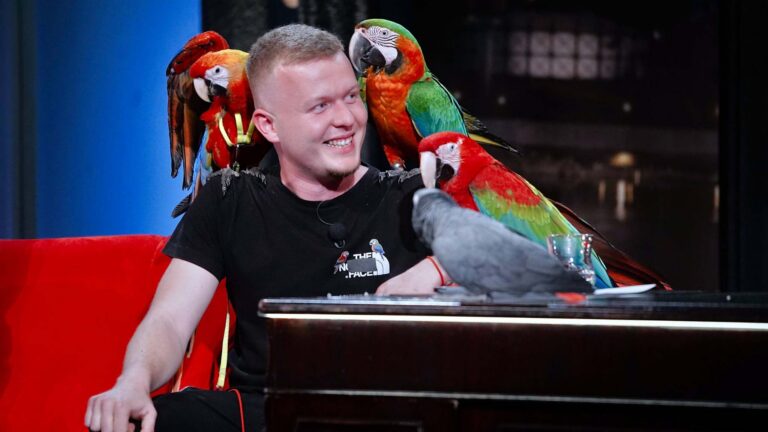 Papoušek Karel z kanclu a Maverik, nejmladší vtěrka. Ptáci Patrika Jíry baví celý internet