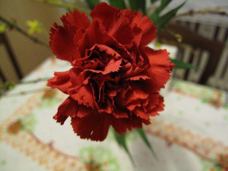 Poslední den školy za socialismu: Jaké to tehdy bylo? Karafiát pro soudružku a úprk na prázdniny