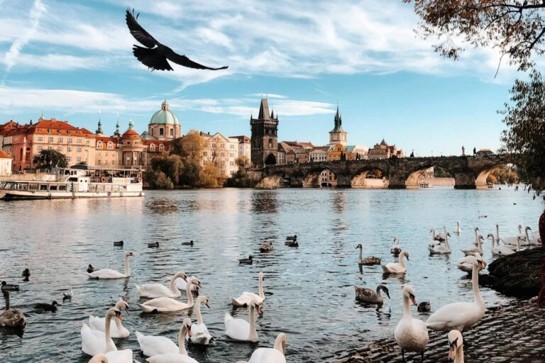 Léto bez pařáků: Česko čeká pohodové počasí se sluncem, deštěm i ochlazením