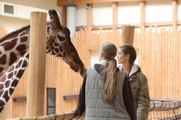 ZOO Nové začátky v příštím týdnu: Láska, manipulace i napětí na sále