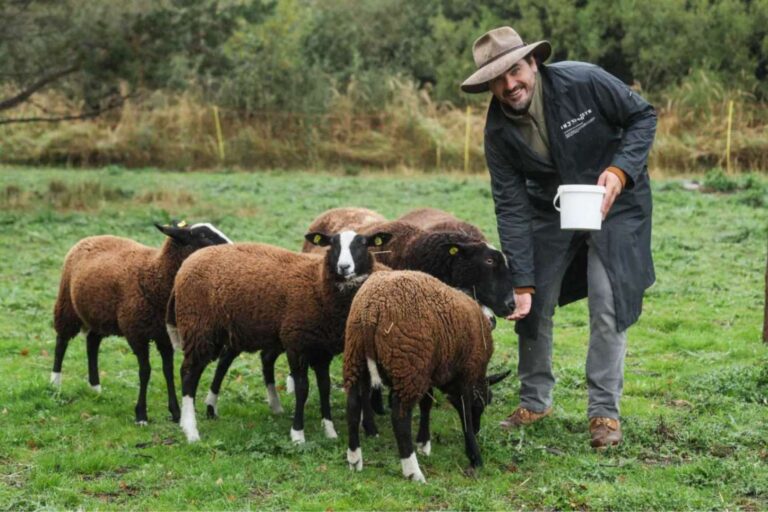 Životní sen Vojty Kotka o soběstačné farmě se naplňuje. Sledujte jeho příběh
