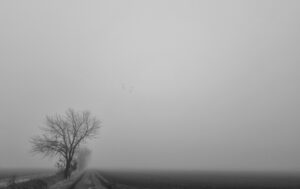 Listopadové pranostiky předpovídají nejen zimu, ale i jaro či léto, FOTO: Pixabay.com