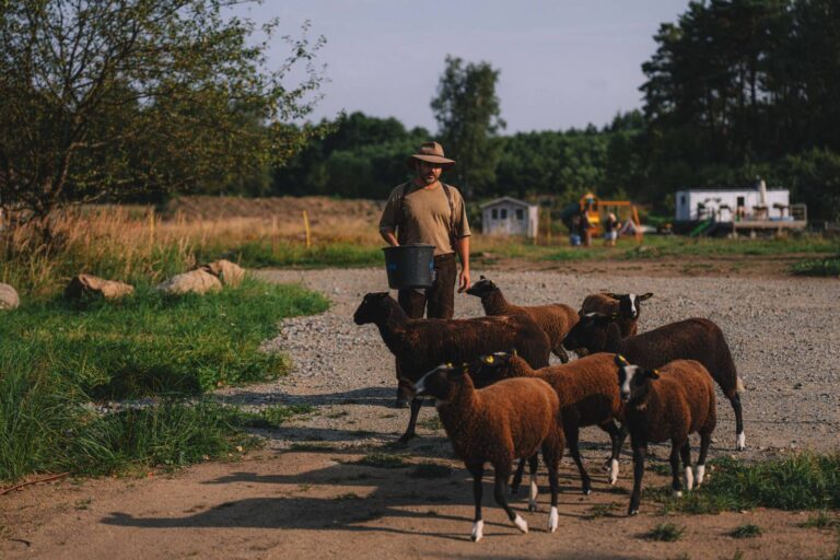 Farma Vojty Kotka: Radost z elektřiny vystřídají paraziti v mokřadech a první ztráta zvířecího života