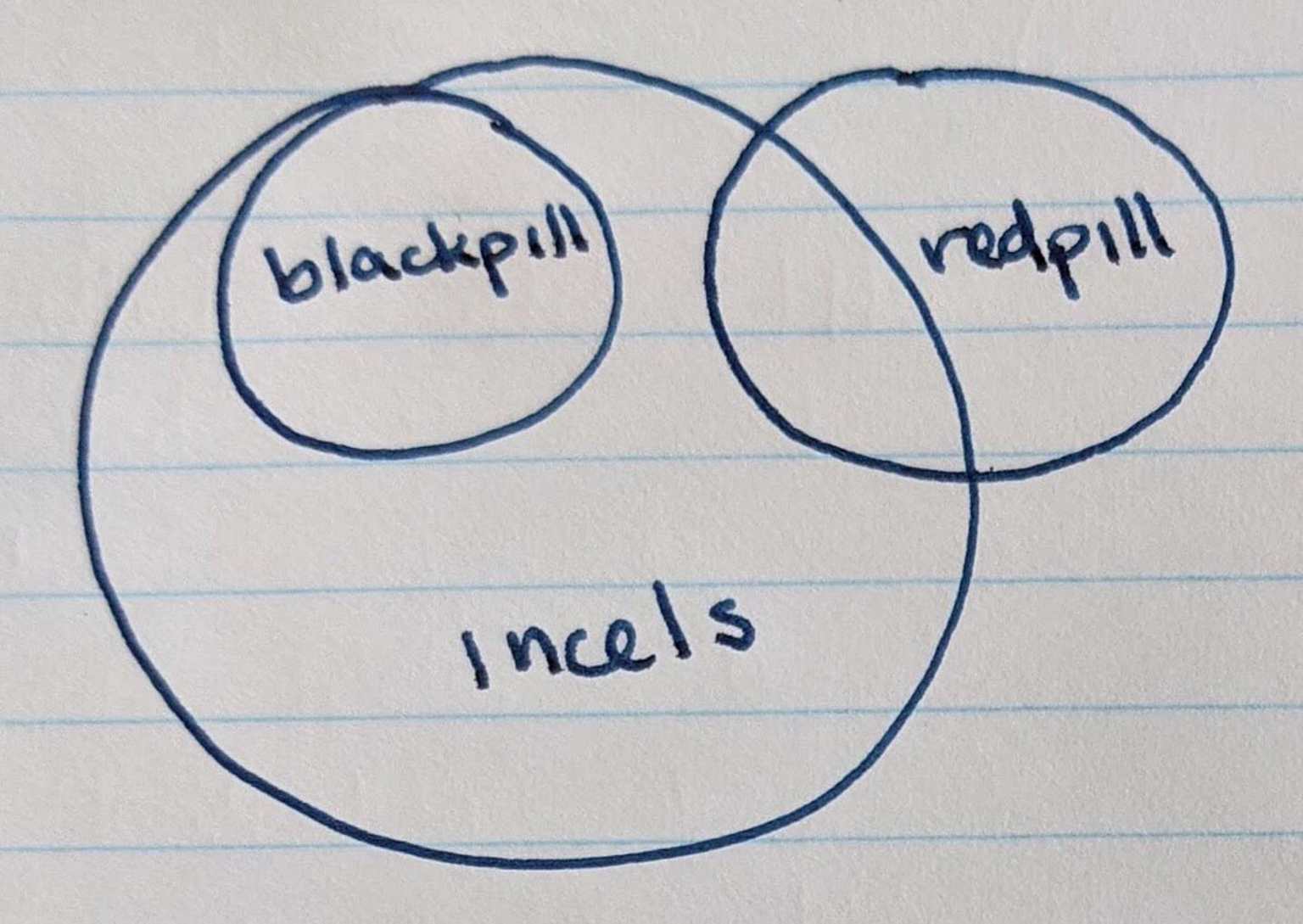 Diagram incela, FOTO: <a href="https://commons.wikimedia.org/wiki/File:Incel_redpill_and_blackpill_diagram_option_1.jpg">GorillaWarfare</a>, <a href="https://creativecommons.org/licenses/by-sa/4.0">CC BY-SA 4.0</a>, via Wikimedia Commons